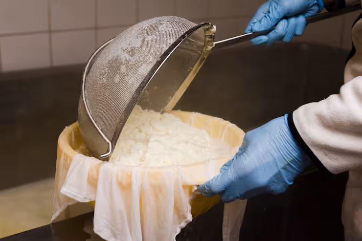 Industrial Cheese Maker Machines: Guide To Modern Equipment for Cheese Production